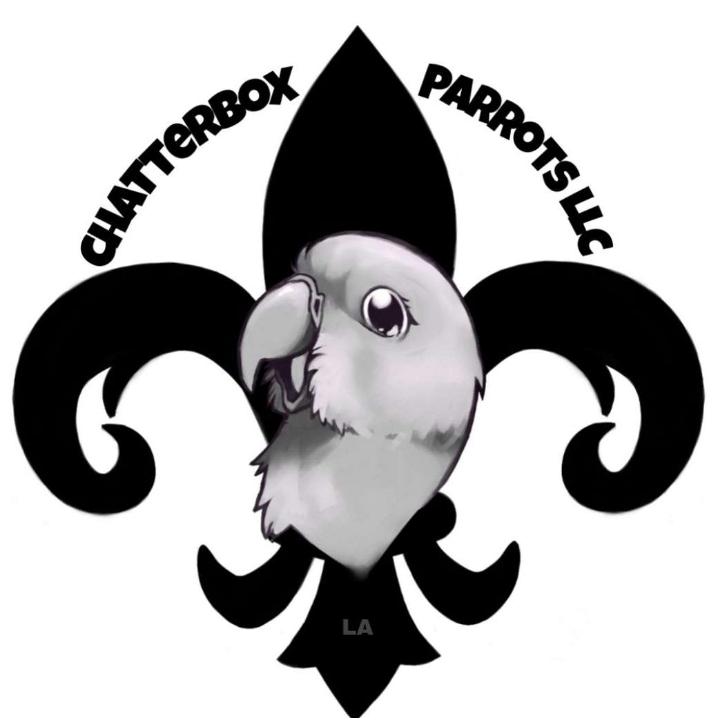 Chatterbox Parrots LLC