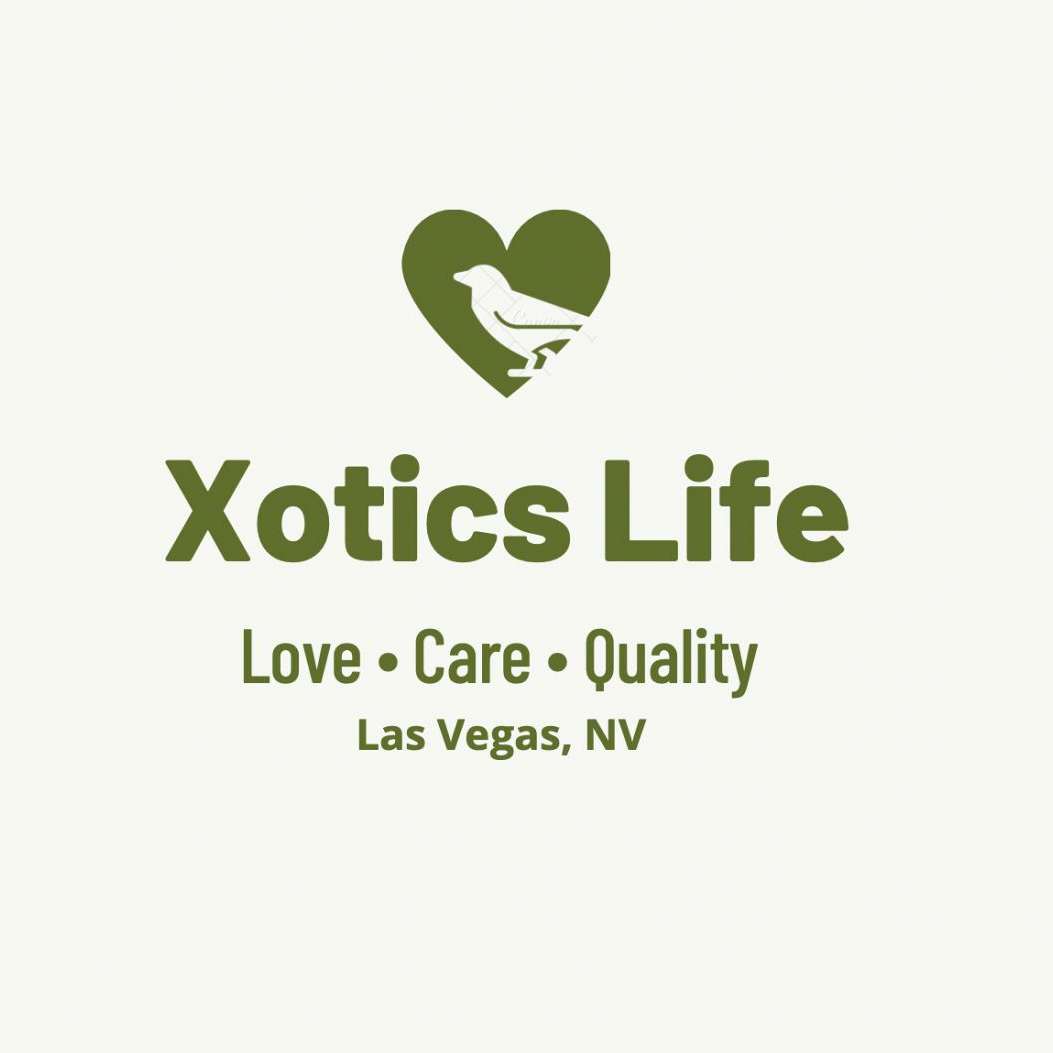 Xotics Life Aviary