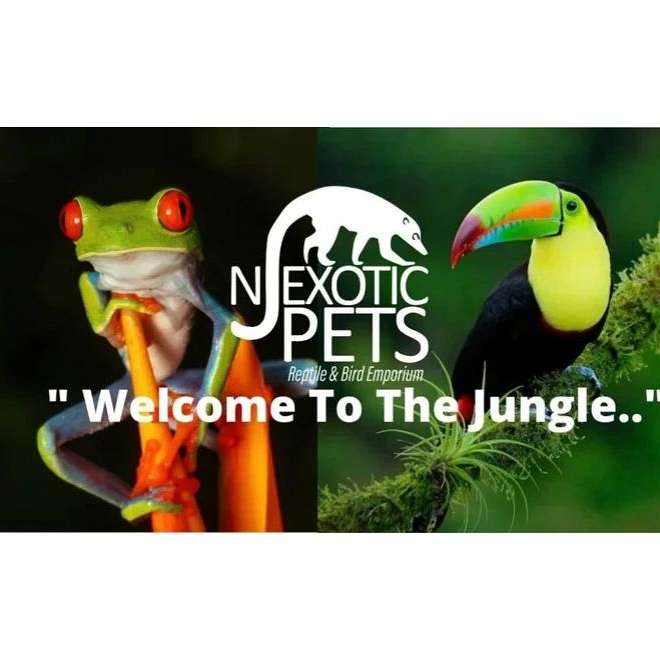 NJ Exotic Pets Reptile and Bird Emporium