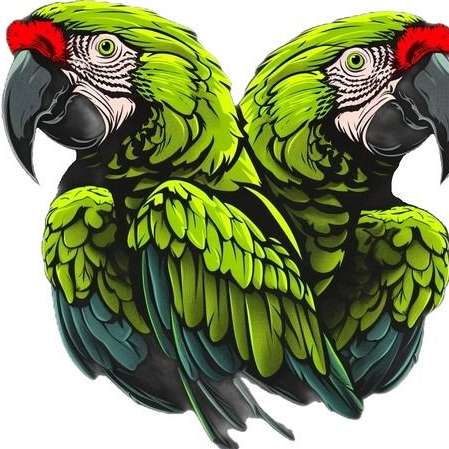 Mini Macaws and More