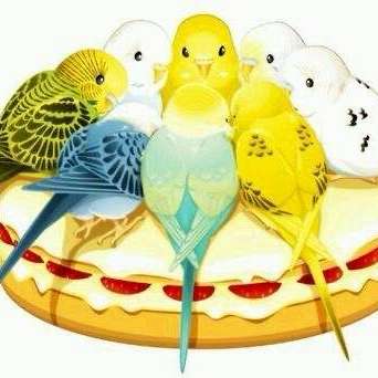 Millet Aviary