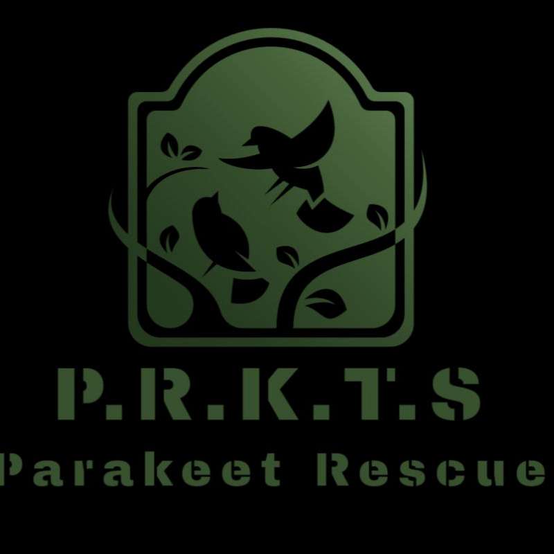 Northwest Florida Parakeet Rescue