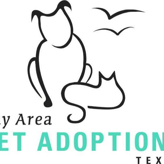 Bay Area Pet Adoptions