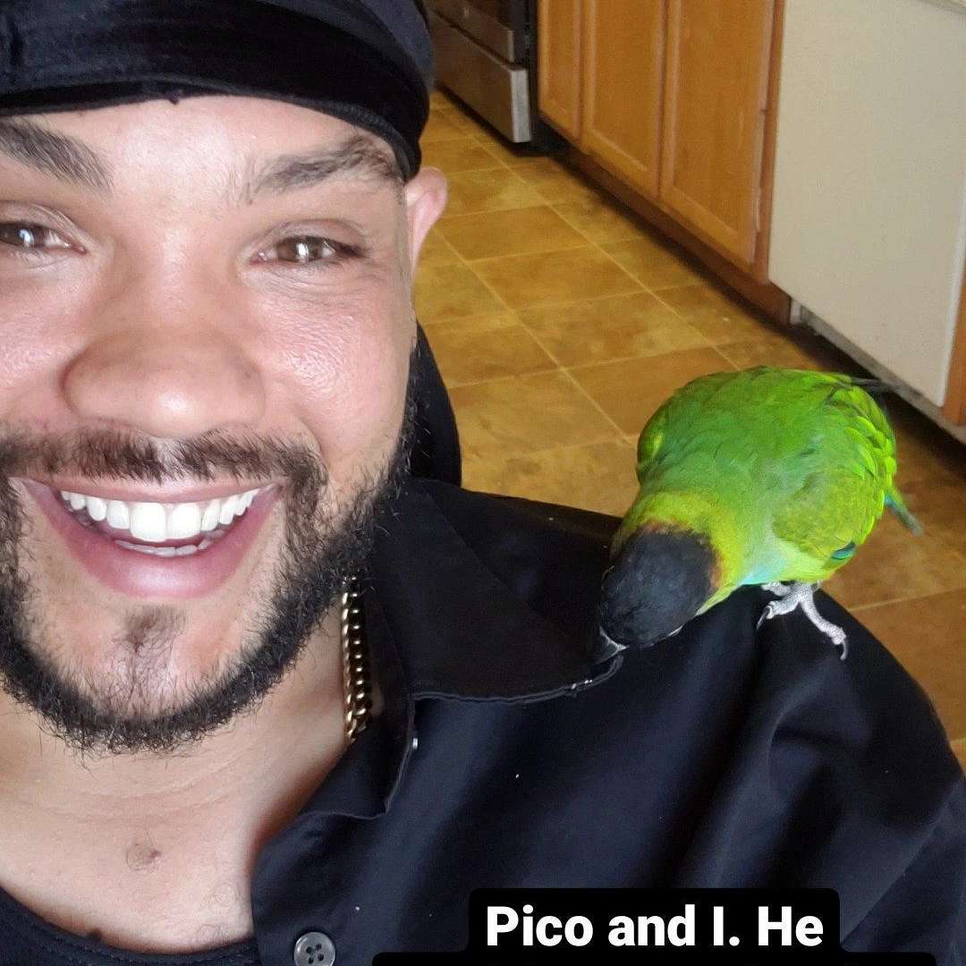 Parrotnado