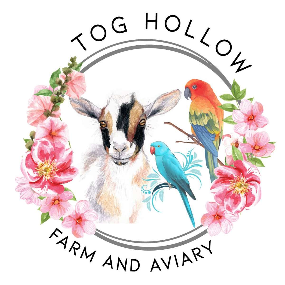 Tog Hollow Farm And Aviary