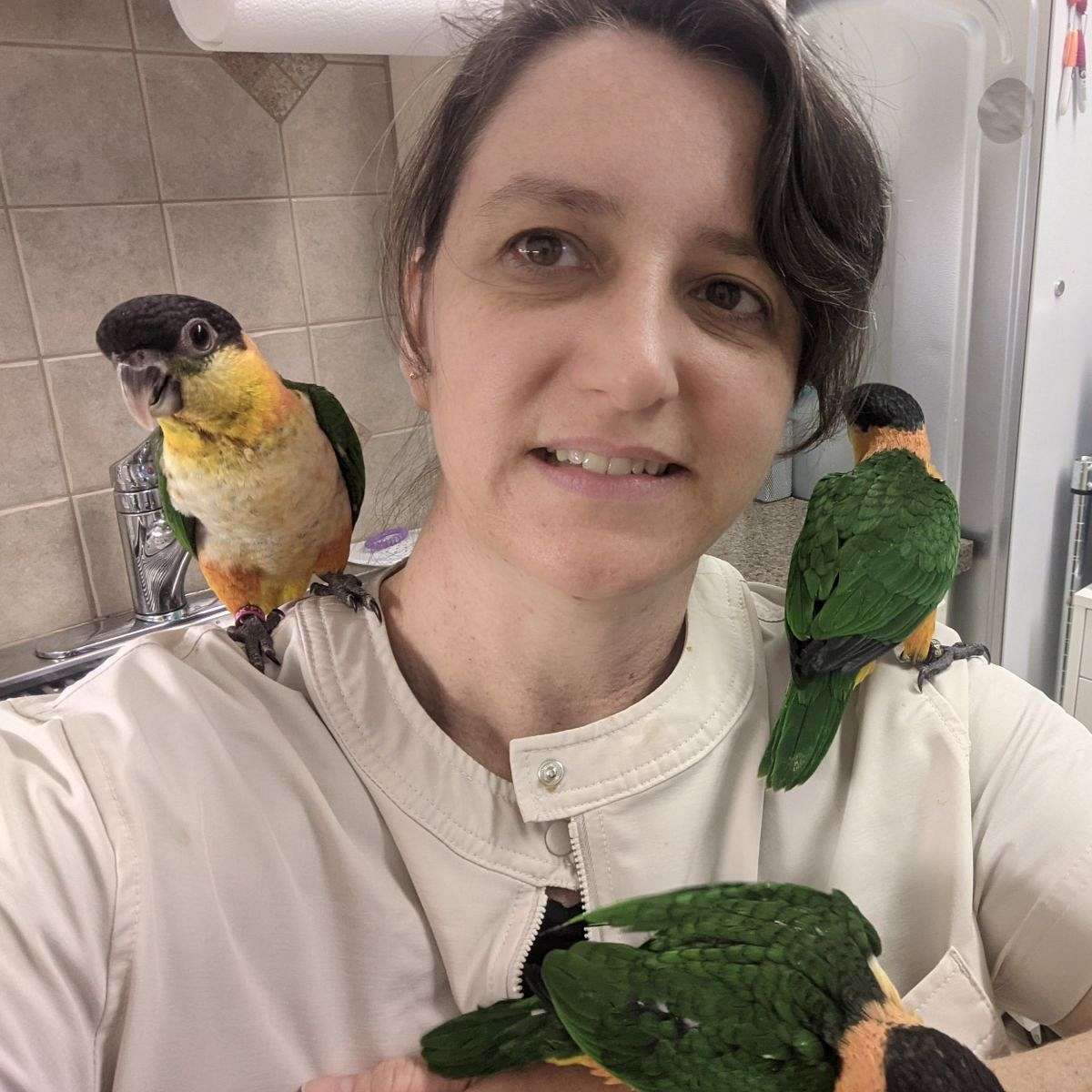 Parrots Parrots Parrots