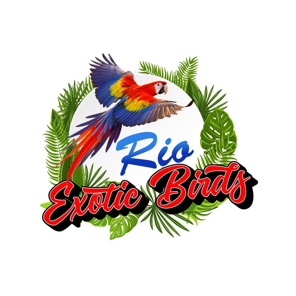 Rio Exotic Birds
