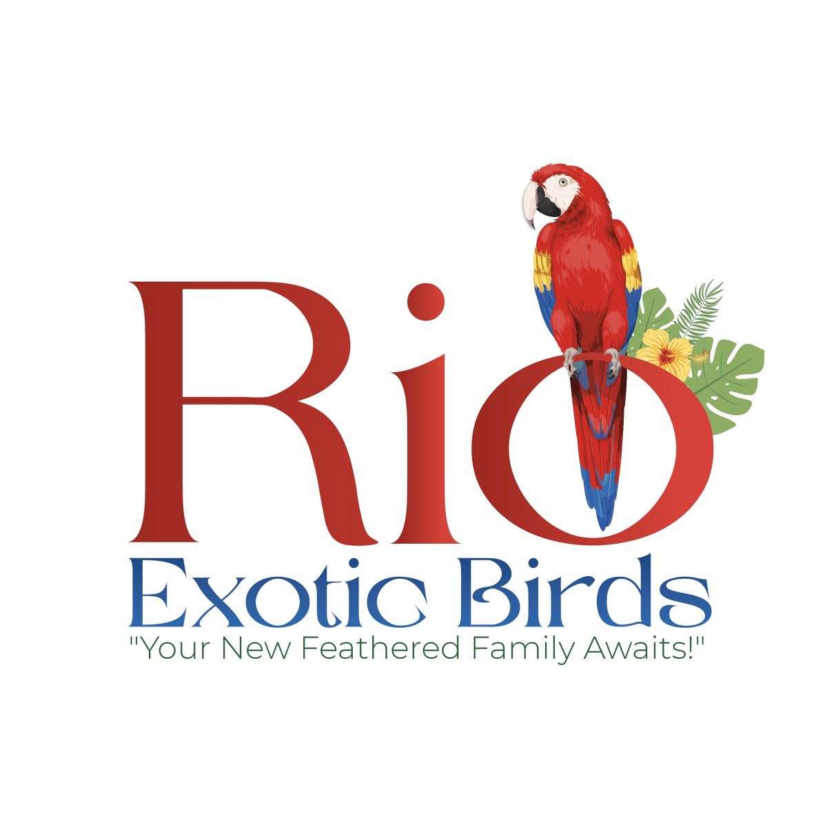 Rio Exotic Birds