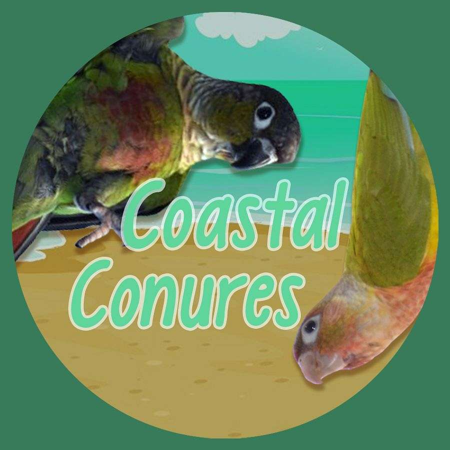 Coastal Conures