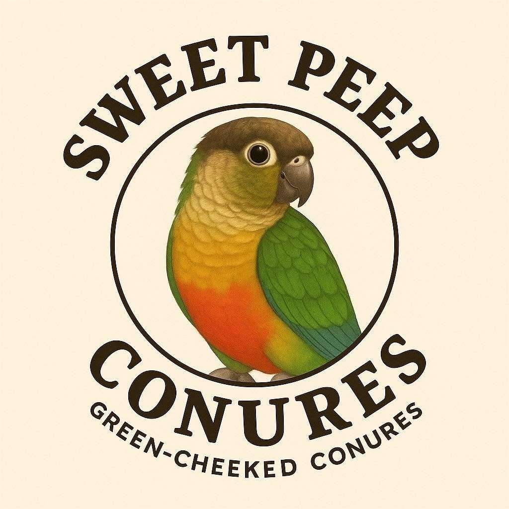 Sweet Peep Conures