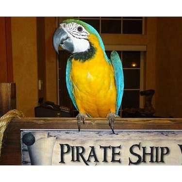 Tropic Island Bird & Supply