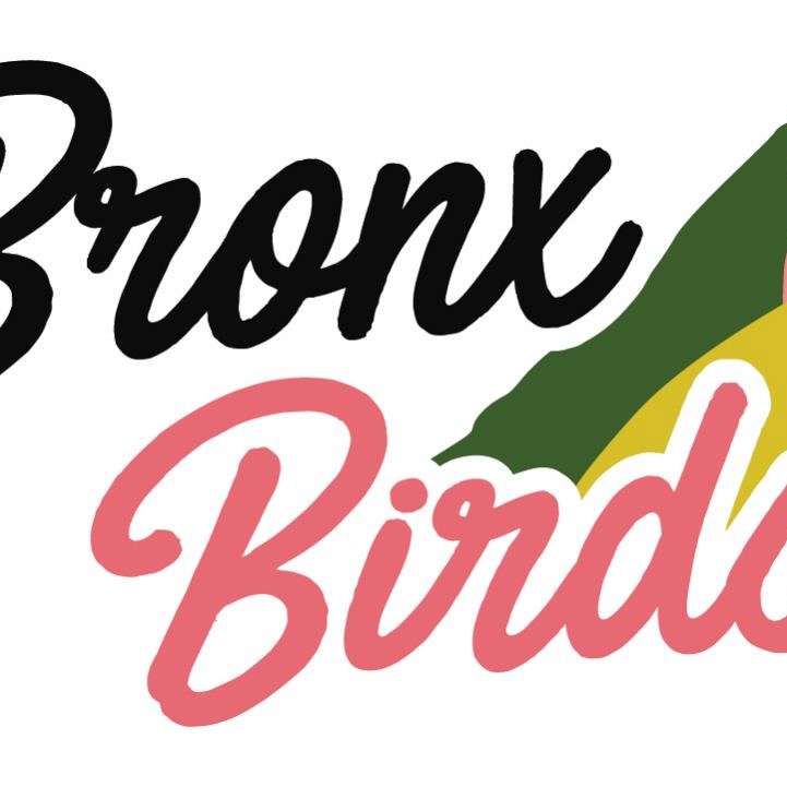 Bronx Birds