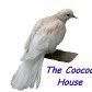The Coocoo House