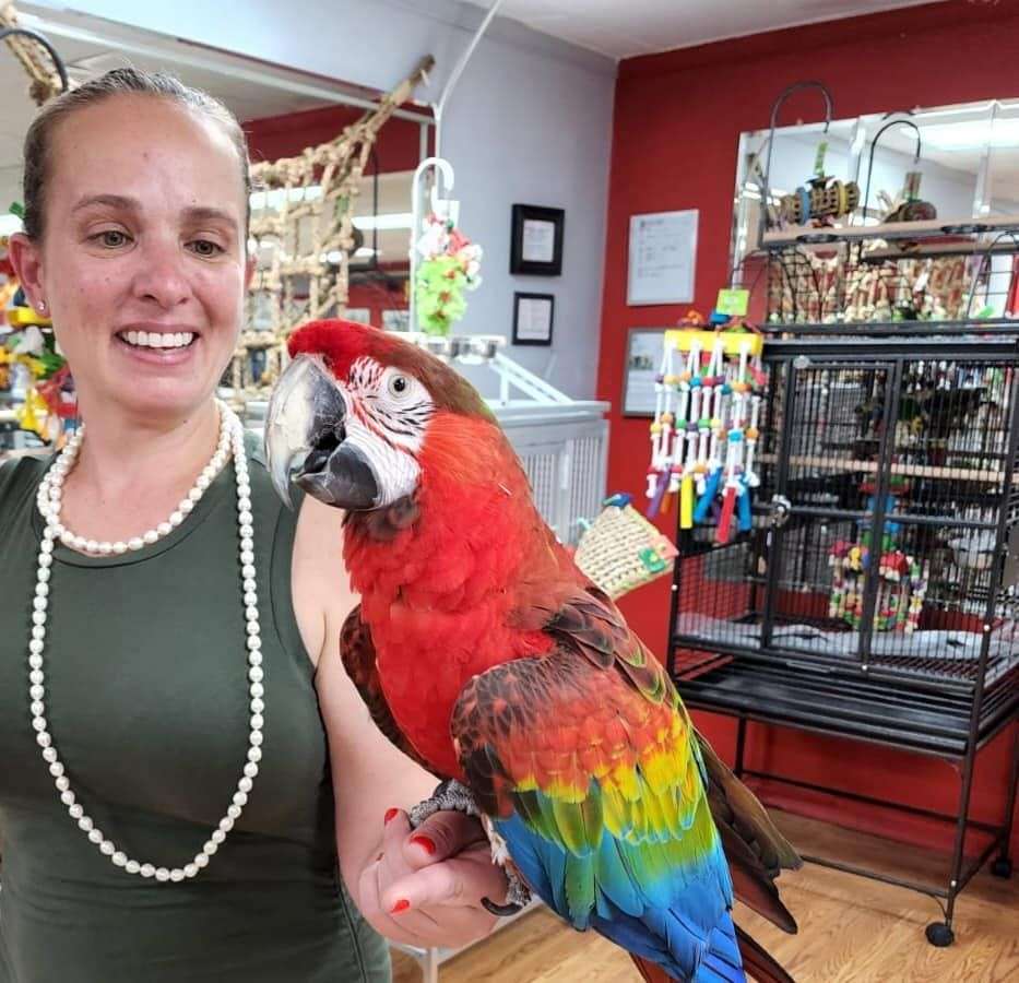 Healthy Living For Multiple Macaws Aviary Reference: Capri