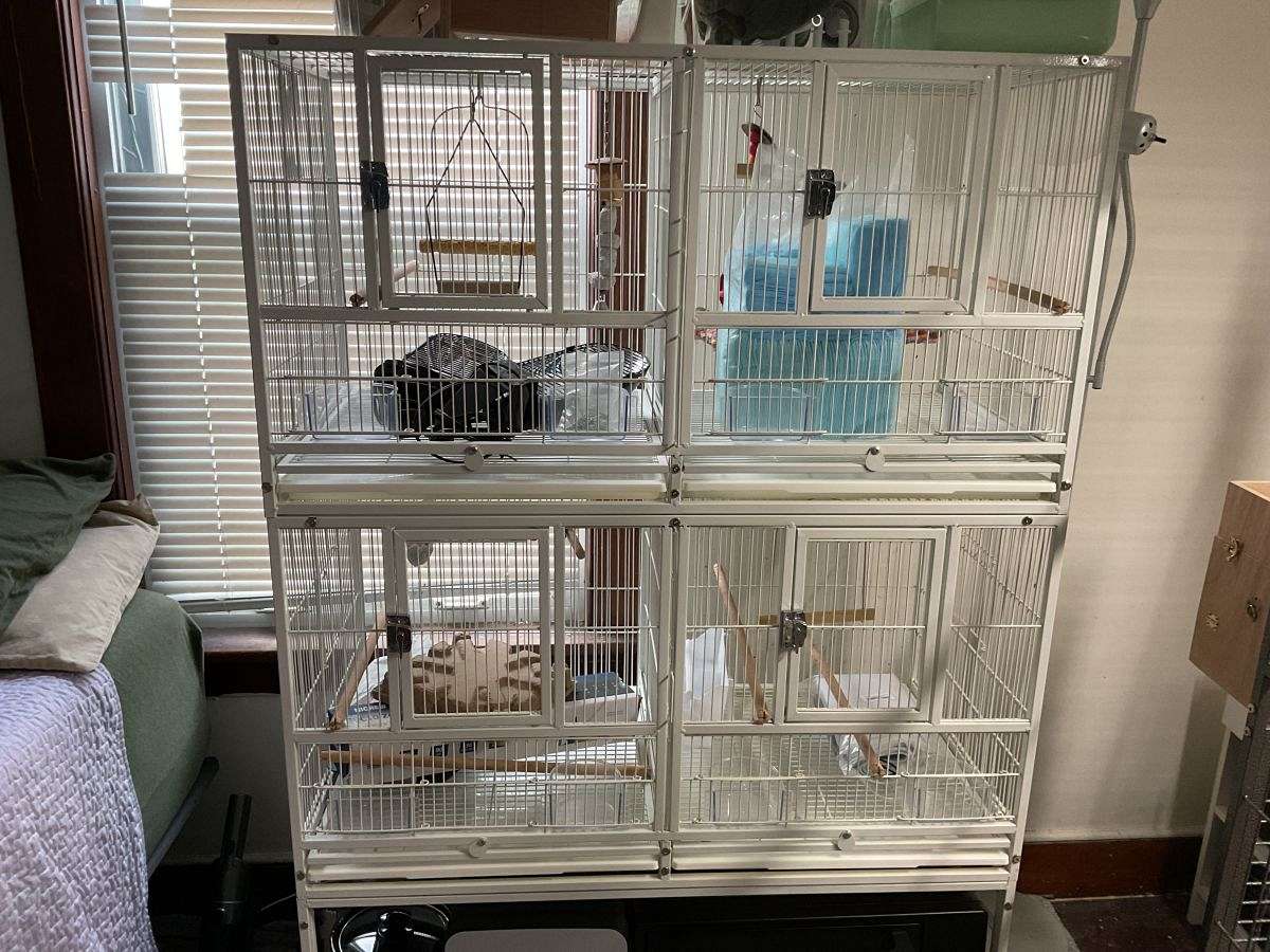 Breeding bird cage with center dividers for sale