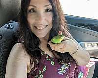 cute-bird-for-sale-in-wappingers-ny