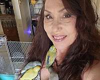 baby-bird-for-sale-in-wappingers-ny