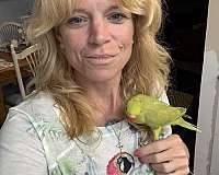 green-bird-for-sale-in-port-charlotte-fl