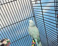 soft-bills-other-for-sale