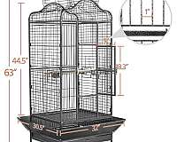 conure-for-sale-in-clermont-fl