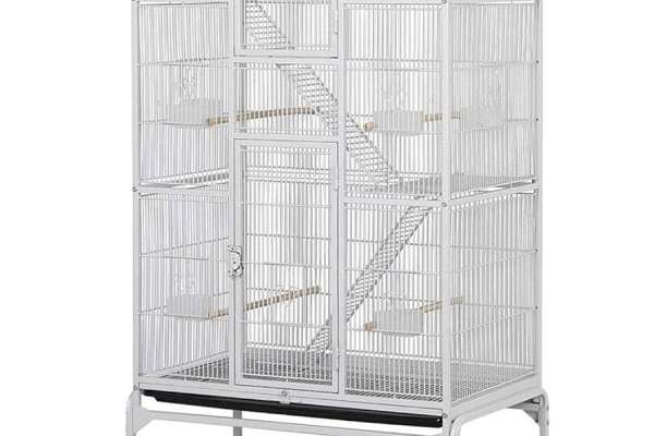 Bird Cage   Parrot For Sale 