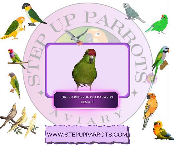 kakarikis-soft-bills-other-for-sale-in-pensacola-fl