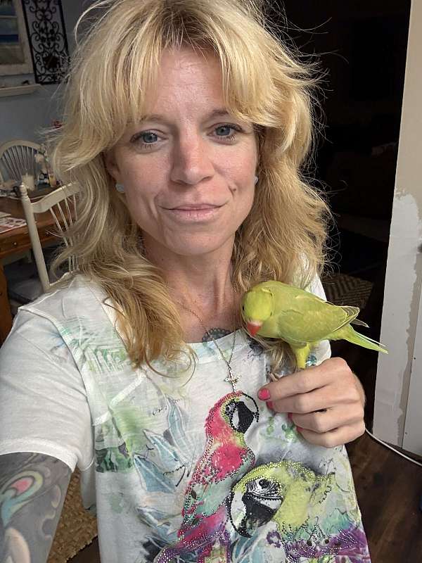 green-bird-for-sale-in-port-charlotte-fl